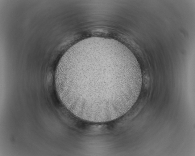 X0000113360375200910061045