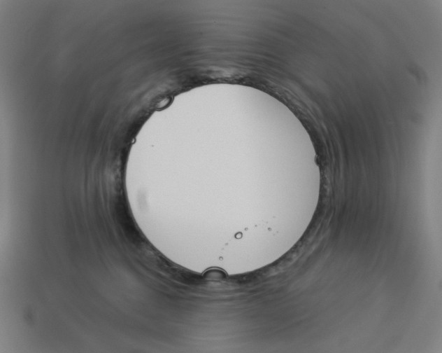 X0000113360376200910061045