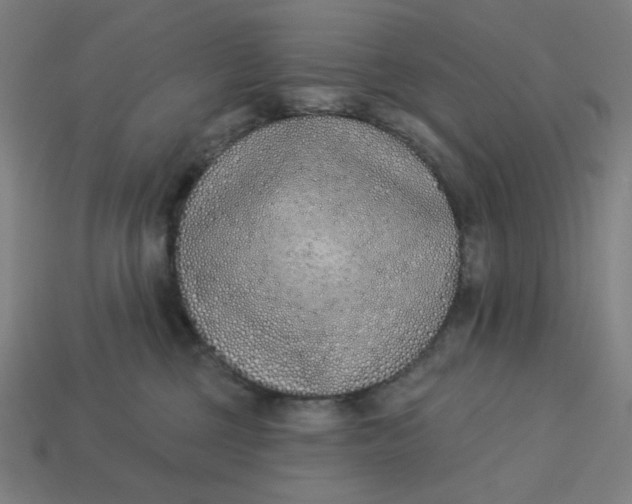 X0000113360377200910061045