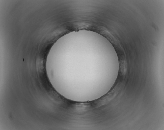 X0000113360378200910061045