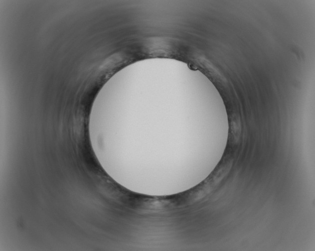 X0000113360379200910061045