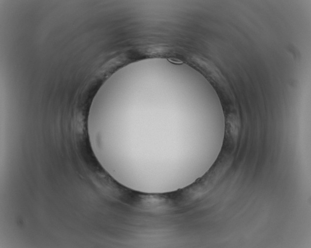 X0000113360380200910061045