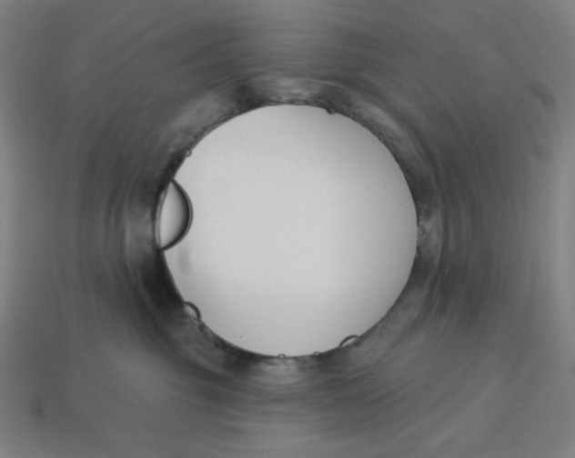 X0000113360381200910061045