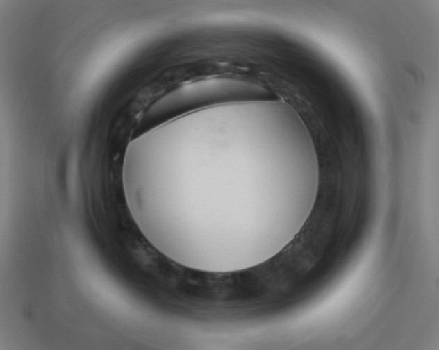 X0000113360382200910061045