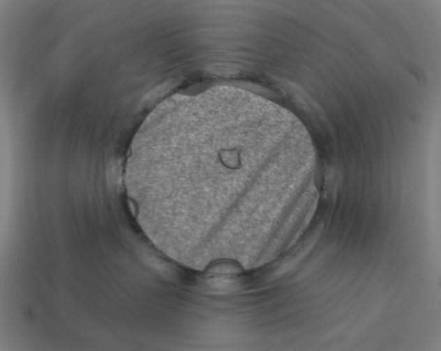 X0000113360383200910061045