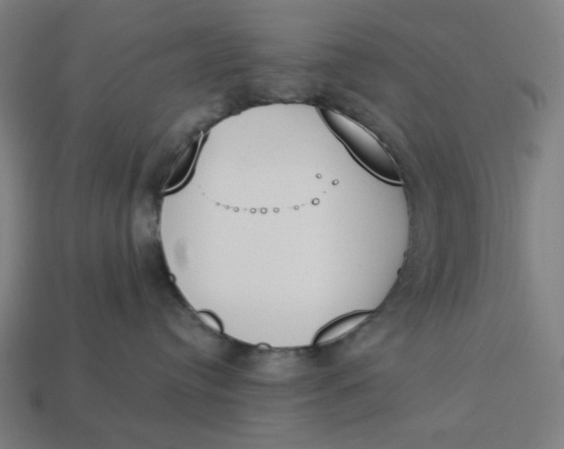 X0000113360384200910061045