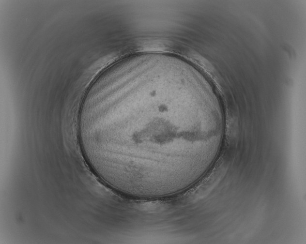 X0000113360385200910061044