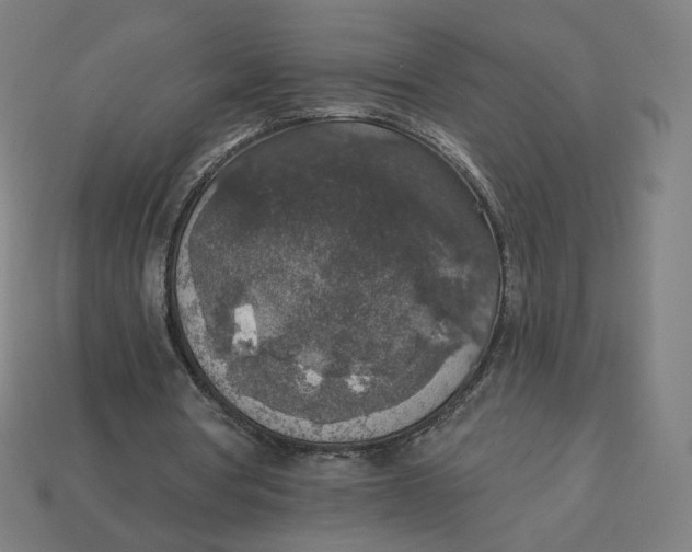 X0000113360386200910061044