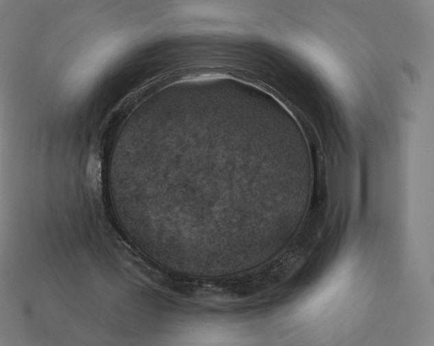 X0000113360387200910061044