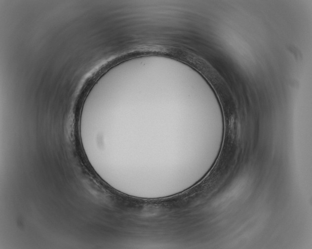 X0000113360388200910061044