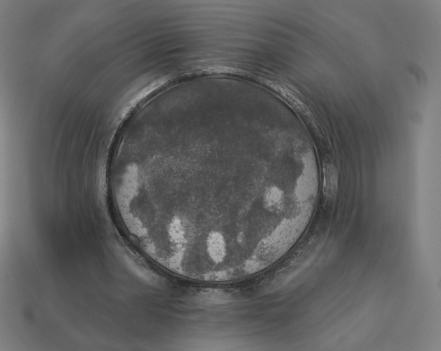 X0000113360390200910061044