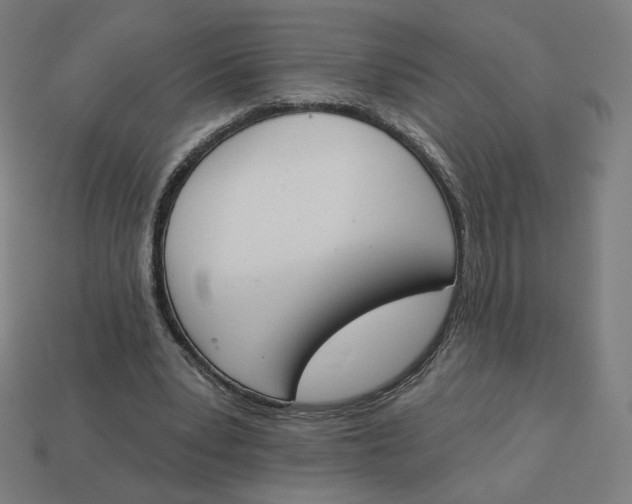 X0000113360391200910061044