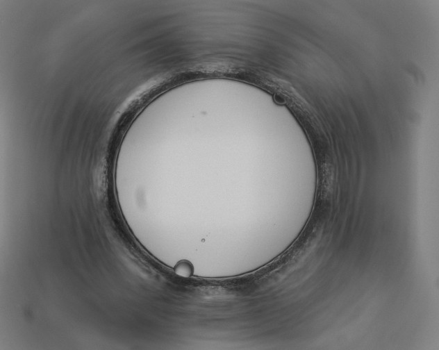 X0000113360392200910061044