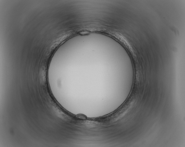 X0000113360393200910061044