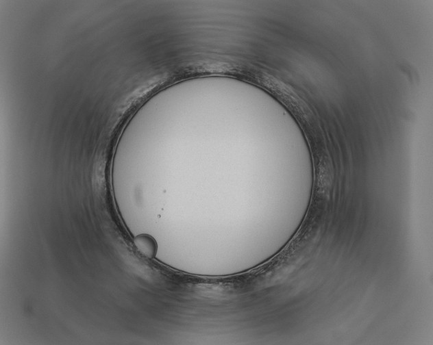 X0000113360394200910061044