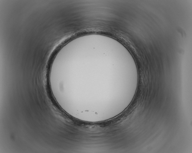 X0000113360395200910061044