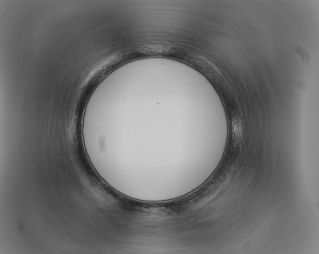 X0000113360396200910061044