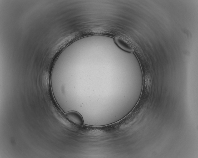 X0000113360397200910061044