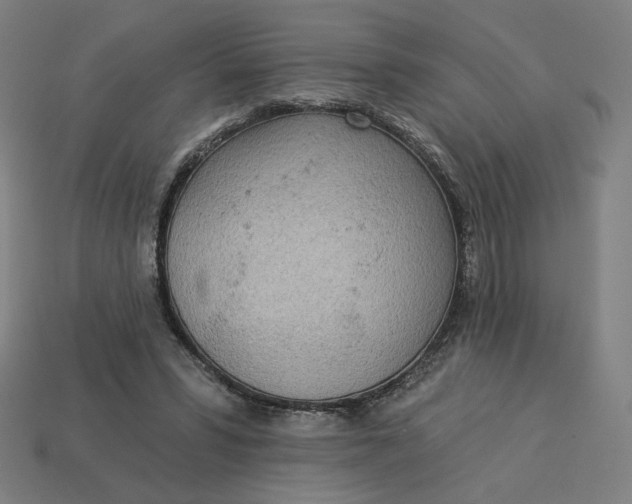 X0000113360399200910061044