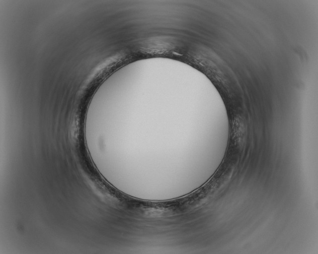 X0000113360400200910061044