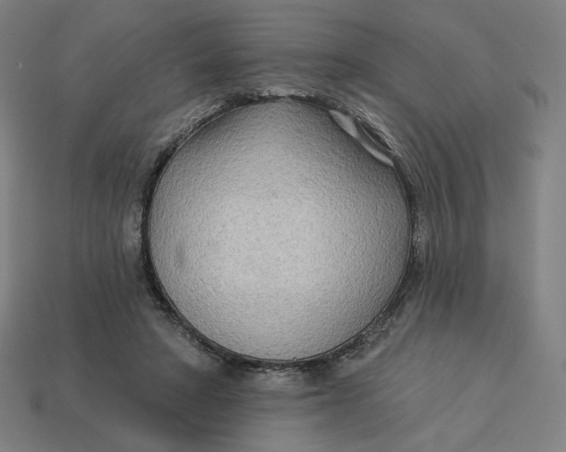 X0000113360402200910061044