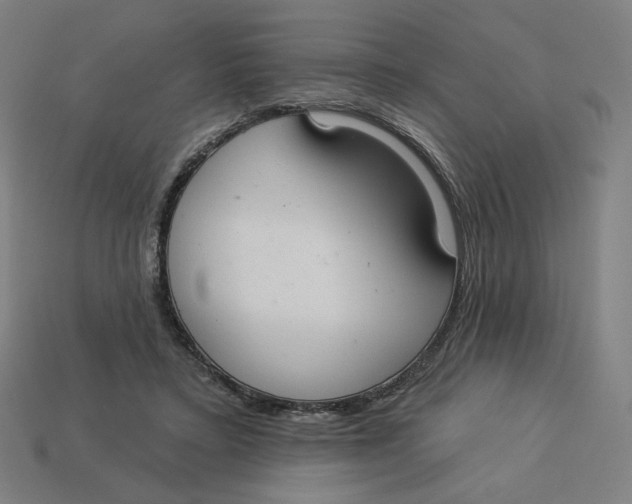 X0000113360403200910061044