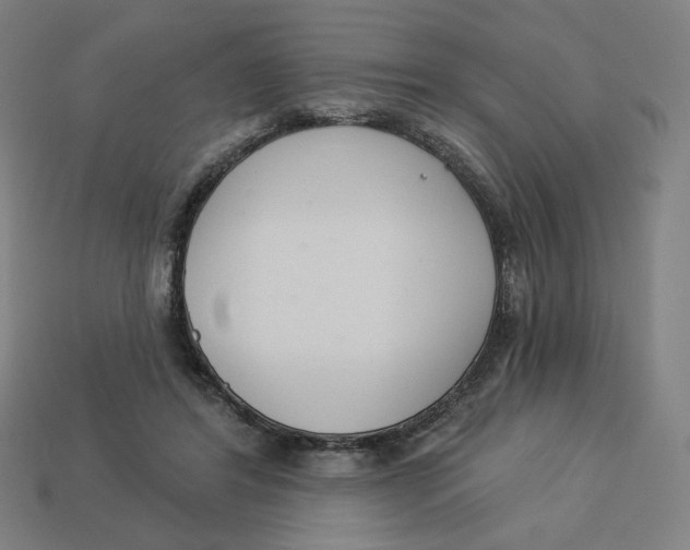 X0000113360404200910061044