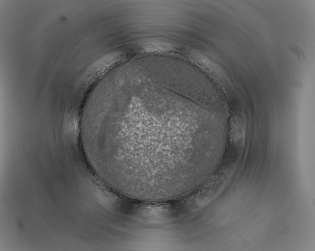 X0000113360405200910061044