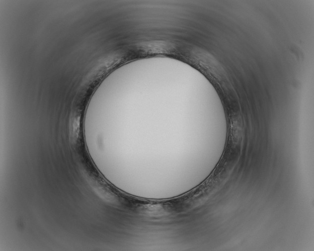 X0000113360406200910061044