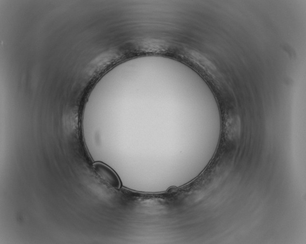 X0000113360407200910061044