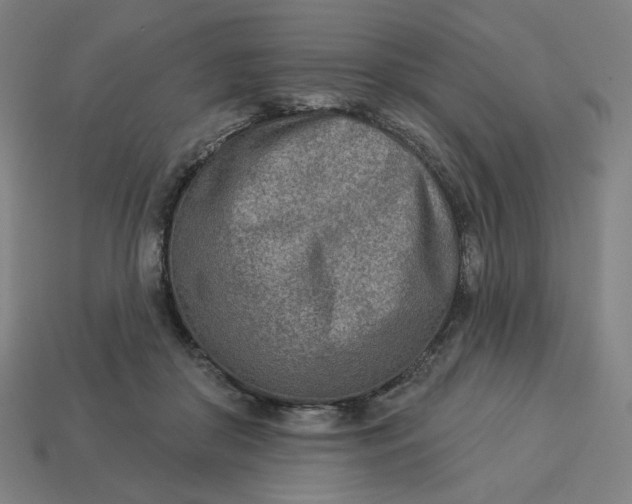 X0000113360410200910061044