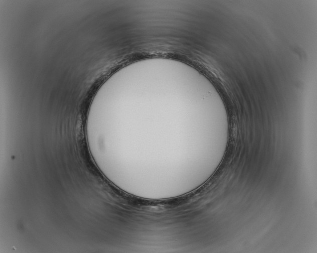 X0000113360411200910061044