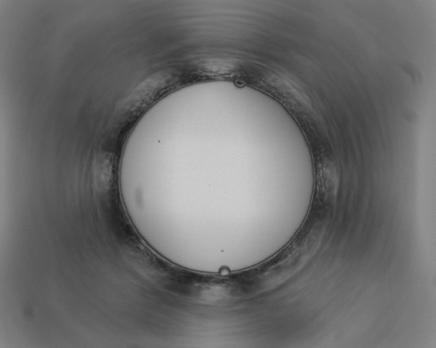 X0000113360412200910061044