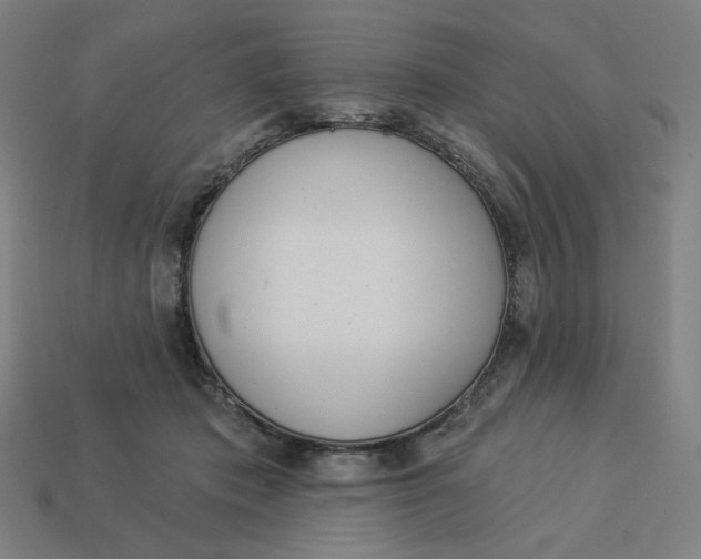 X0000113360413200910061044