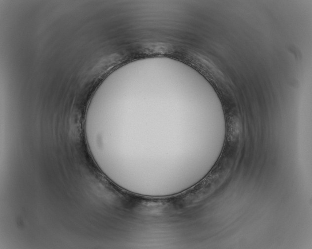 X0000113360414200910061044