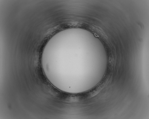 X0000113360416200910061044