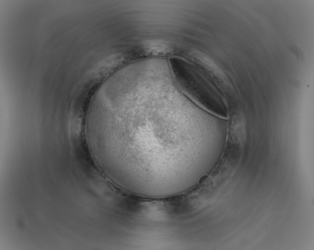 X0000113360417200910061044