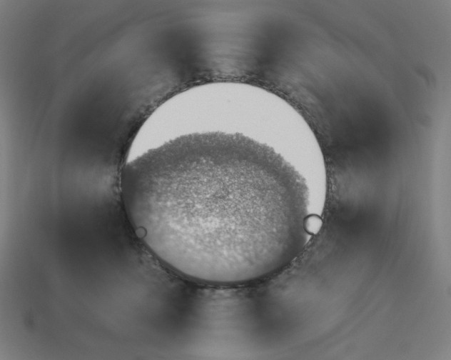 X0000113360419200910061044