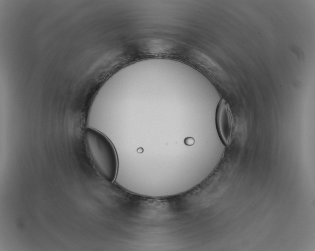 X0000113360421200910061044