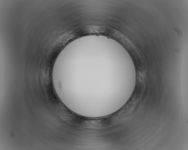 X0000113360422200910061044