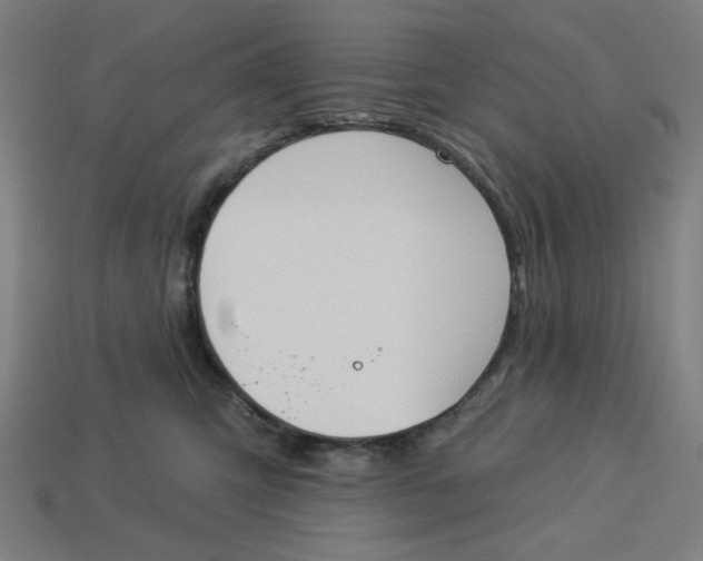 X0000113360423200910061044