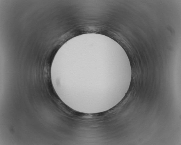 X0000113360425200910061044