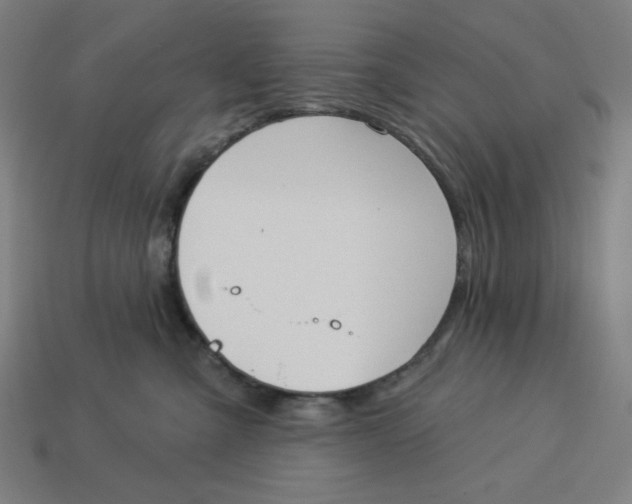 X0000113360427200910061044