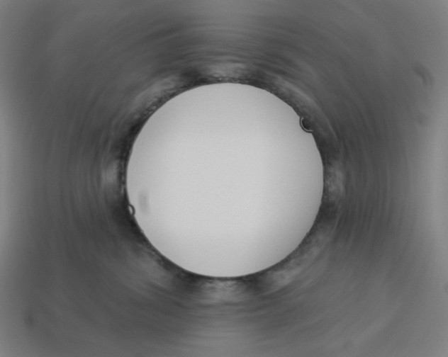 X0000113360428200910061044