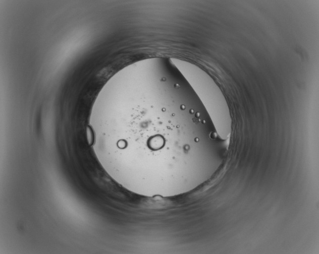 X0000113360429200910061044