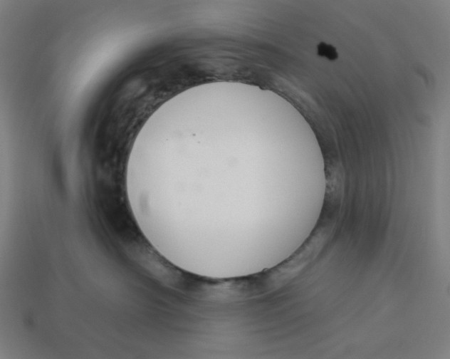 X0000113360430200910061044