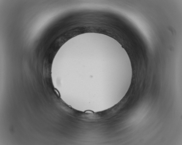 X0000113360431200910061044