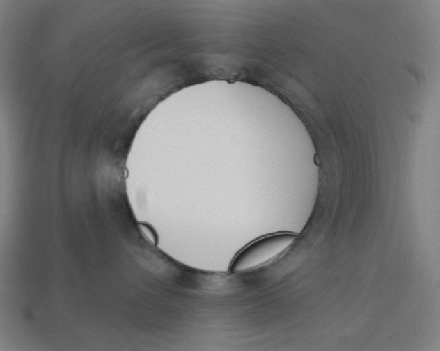 X0000113360432200910061044