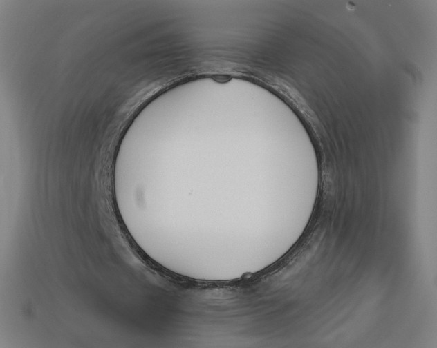 X0000113360433200910061043