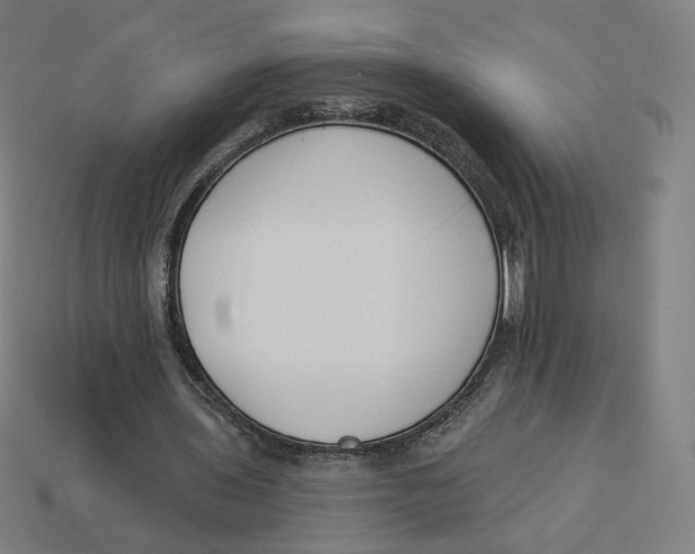 X0000113360435200910061043